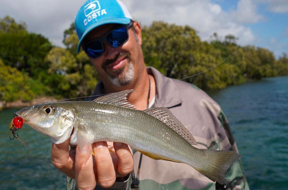 Diver Whiting Tips - Fishing for sand whiting - Addict Tackle