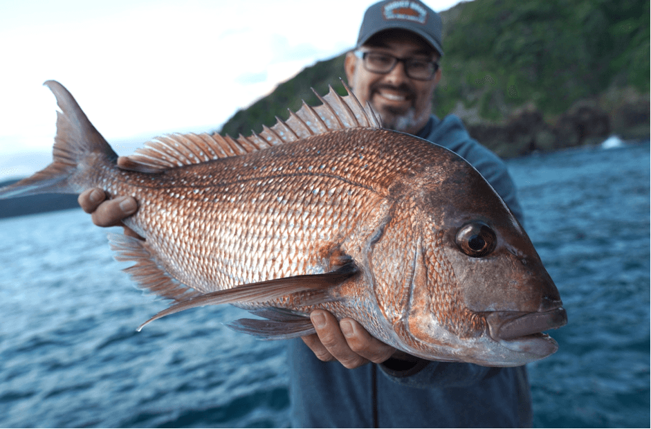 Fishing for snapper - Catching snapper - Addict Tackle