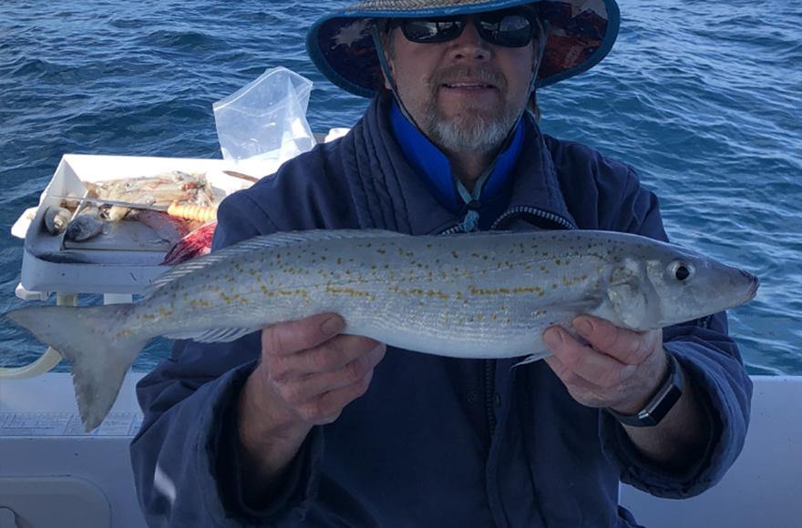 King George whiting secrets by Addict Tackle