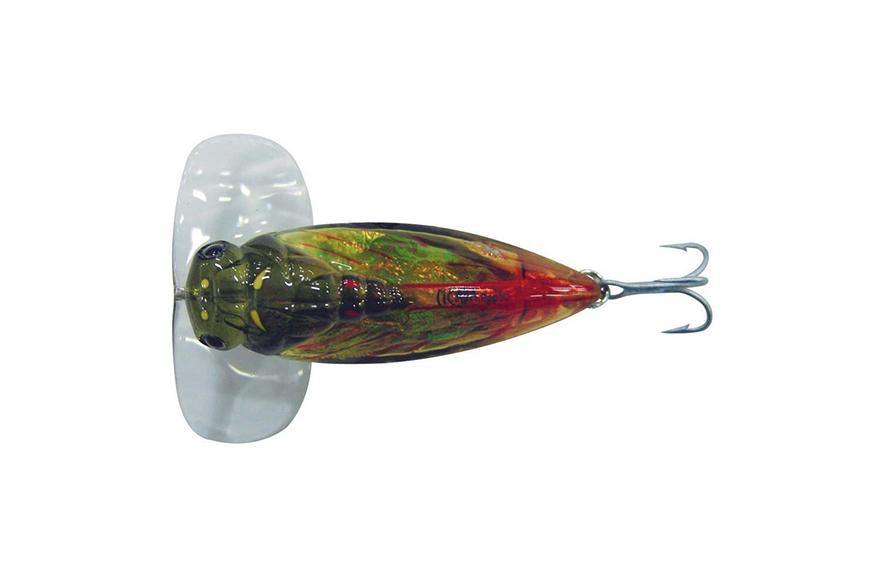 Looking at cicada lures - Cicada lures for fishing - Addict Tackle