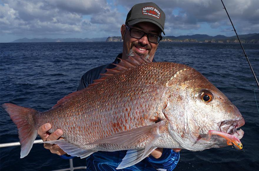 Soft plastics for snapper - Catching snapper on lures - Addict Tackle