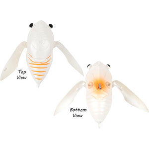 Atomic Hardz Cicada 35 Surface Walker