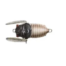 Tiemco Soft Shell Cicada Floating Hard Body Lure 40mm