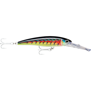 Rapala X-Rap Magnum Divebait Trolling Lure 16cm - XRMAG30