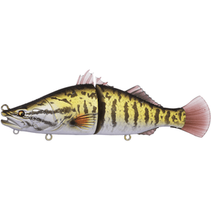 Bone Espybarra 176F Glide Bait Lure - Addict Tackle