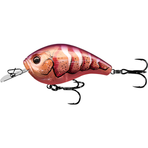 13 Fishing Jabber Jaw Lure 3-6ft