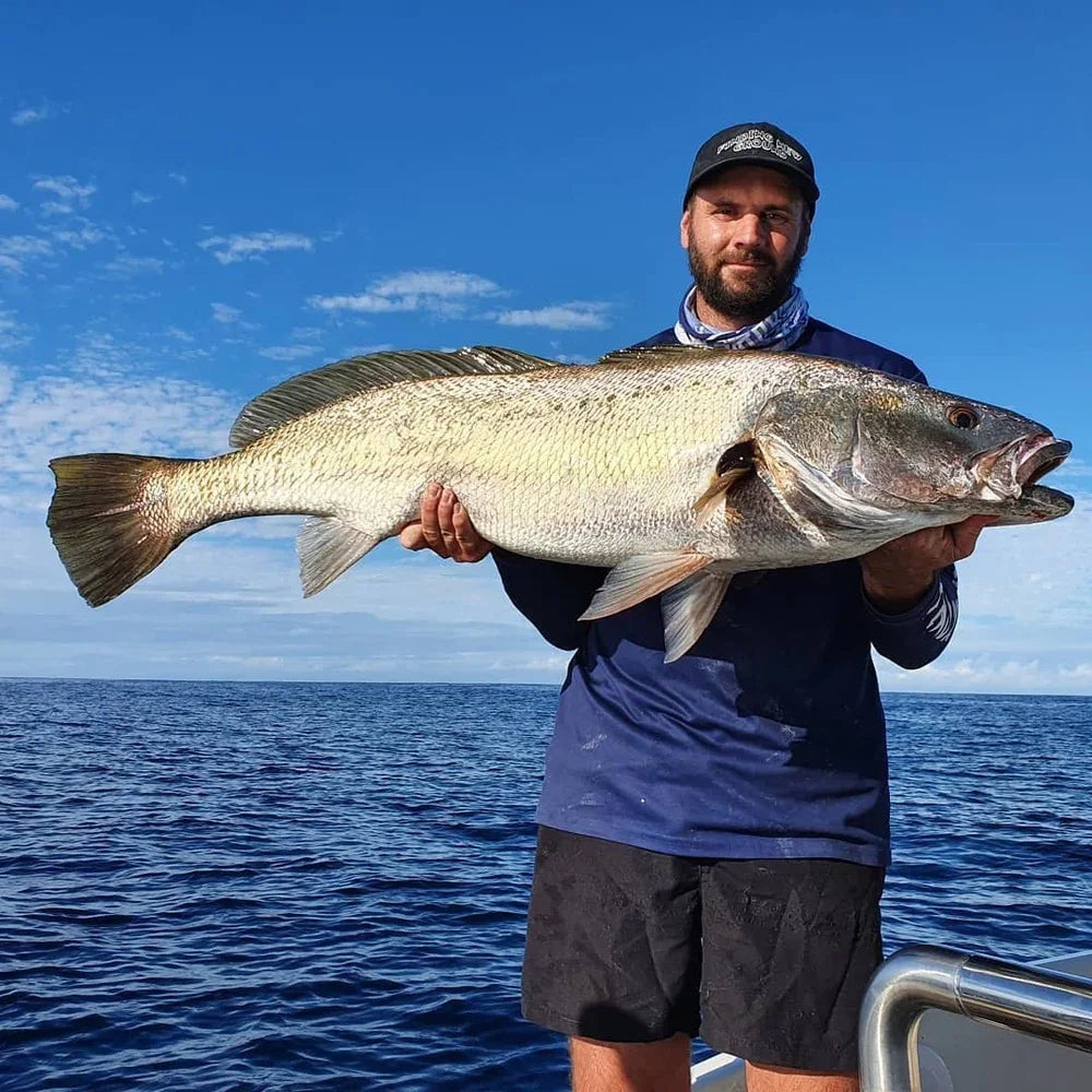 Live Fibre Spin fishing Rods