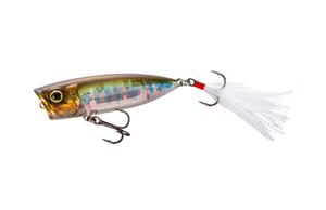 Shimano Bantam World Pop 69F Flash Boost - Addict Tackle