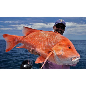 Venom 90X Slow Fall Jig Rod Spin