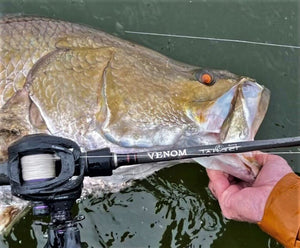 Live Fibre Venom Target Jerkbait Series Rods - Addict Tackle