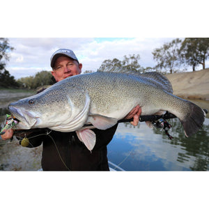 Live Fibre Venom Crank Bait 6'3" PE 3 - 6 1pc Baitcast Rod - Addict Tackle