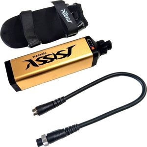 Wilson Electric Assist Reel + Lithium Battery & Live Fibre Rod Combo Straight Butt - Addict Tackle