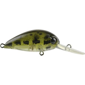 Atomic Hardz Crank 38mm Deep Diver Hard Body Lure by Frogleys Offshore at Addict Tackle