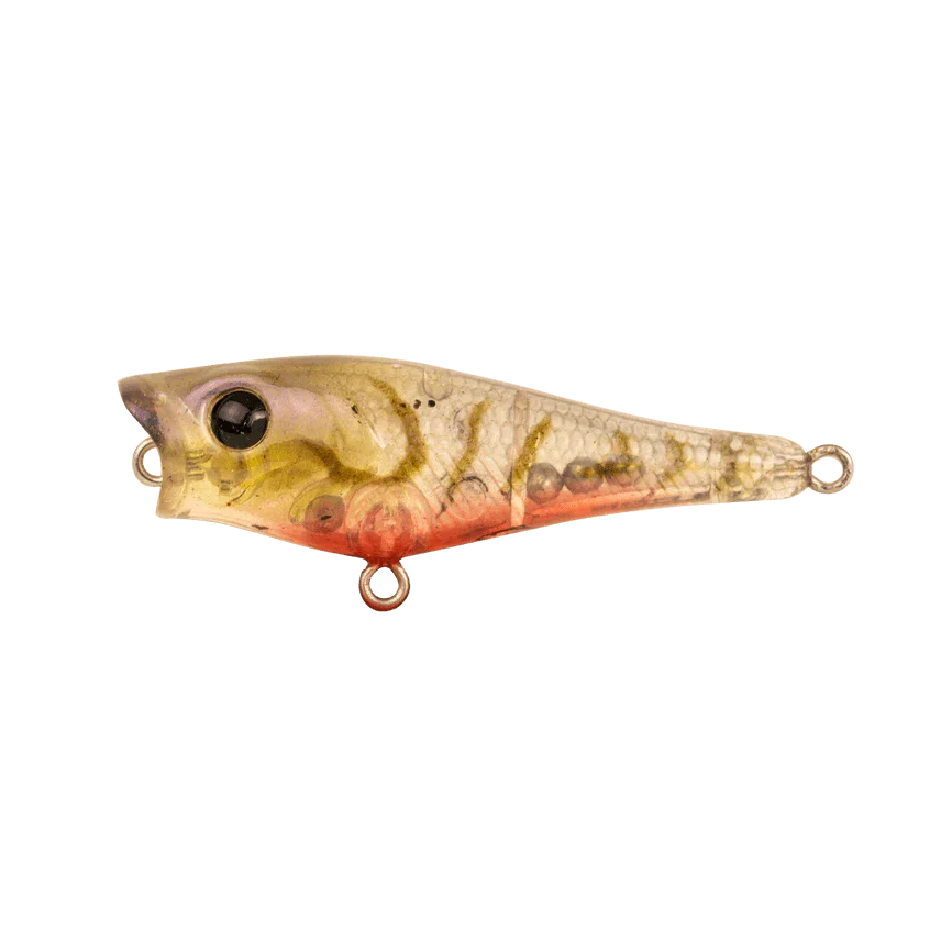 Berkley Pro Tech Pop Fishing Lure 50mm by Berkley at Addict Tackle
