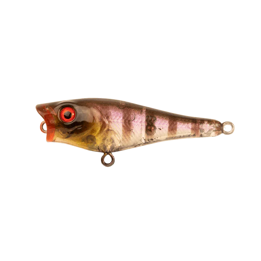 Berkley Pro Tech Pop Fishing Lure 50mm by Berkley at Addict Tackle