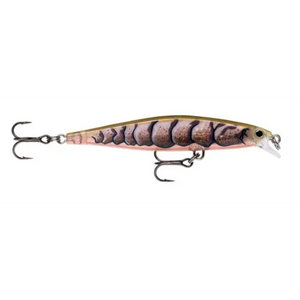 Rapala Shadow Rap Jerkbait 7cm by Rapala at Addict Tackle