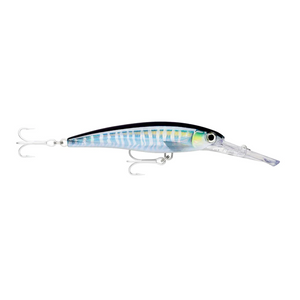Rapala X-Rap Magnum Trolling Lure 14cm by Rapala at Addict Tackle