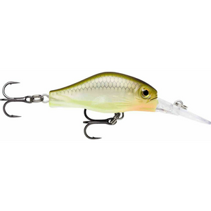 Rapala Shadow Rap Fat Jack Jerkbait 4cm by Rapala at Addict Tackle