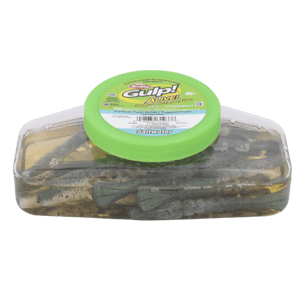 Berkley Gulp Turbo Shrimp 4in Soft Plastic Value Tub - Addict Tackle