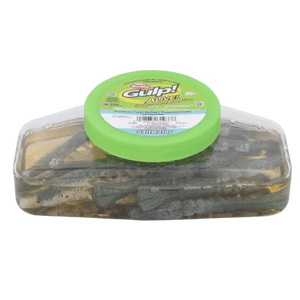 Berkley Gulp Turbo Shrimp 4in Soft Plastic Value Tub - Addict Tackle