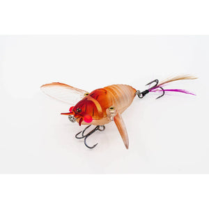 ChaseBaits Ripple Cicada 43mm 6g by Chasebaits at Addict Tackle