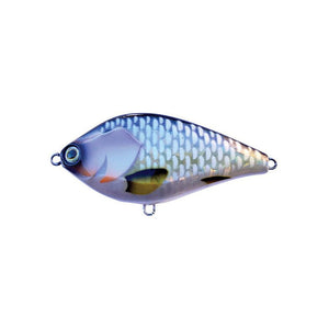 Molix SW Jerk Harbody Fishing Lure 105mm - Addict Tackle