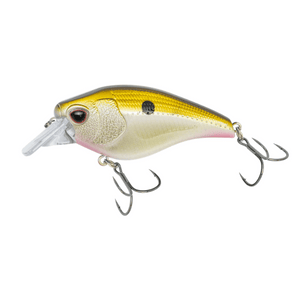 Nomad Design Atlas Crankbait Fishing Lure 55mm - Addict Tackle