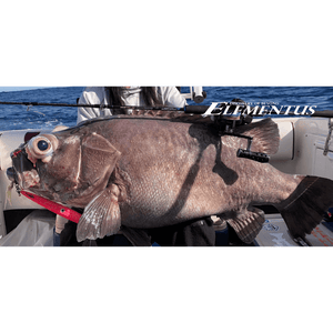 Oceans Legacy Elementus Deep Over Head Jig Rod by Oceans Legacy at Addict Tackle