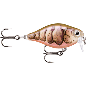 Rapala X - Light Series Crank Mid Runner Lure 3.5cm - FNCM03 - Addict Tackle