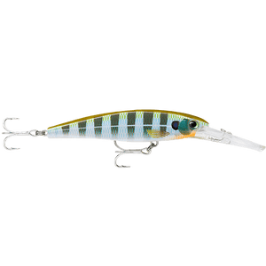 Rapala X - Rap Saltwater Deep 11cm - SXRD - 11 - Addict Tackle