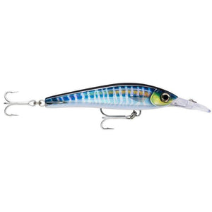 Rapala X-Rap Magnum Xtreme Trolling Lure 16cm by Rapala at Addict Tackle