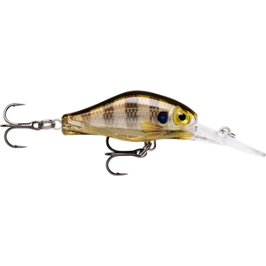 Rapala Shadow Rap Fat Jack Jerkbait 4cm by Rapala at Addict Tackle