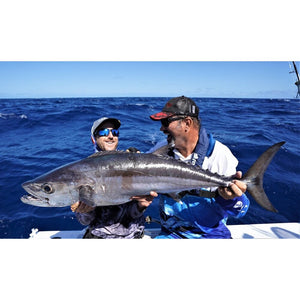 Live Fibre Venom Switch Bait 6'5" PE 2 - 8 1pc Spin Rod - Addict Tackle