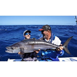 Live Fibre Venom Switch Bait 6'5" PE 2 - 8 1pc Spin Rod - Addict Tackle