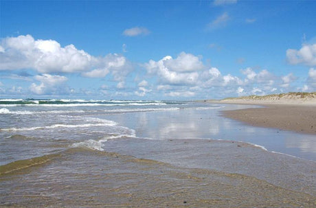 Beach worming tips - Addict Tackle