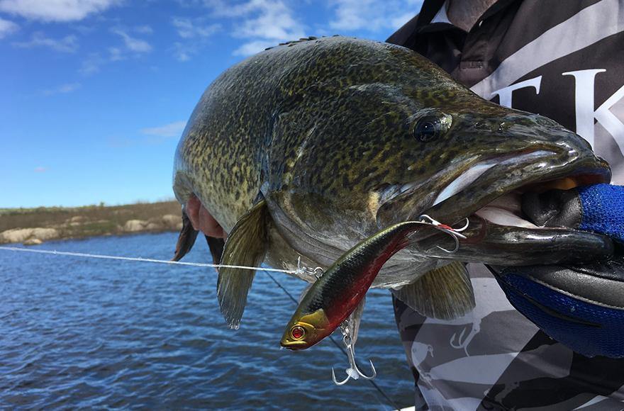Blading and vibing - Addict Tackle
