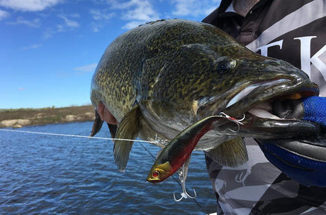 Blading and vibing - Addict Tackle