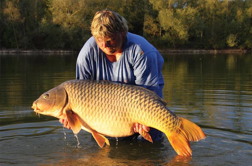 Catching carp on bait by Addict Tackle