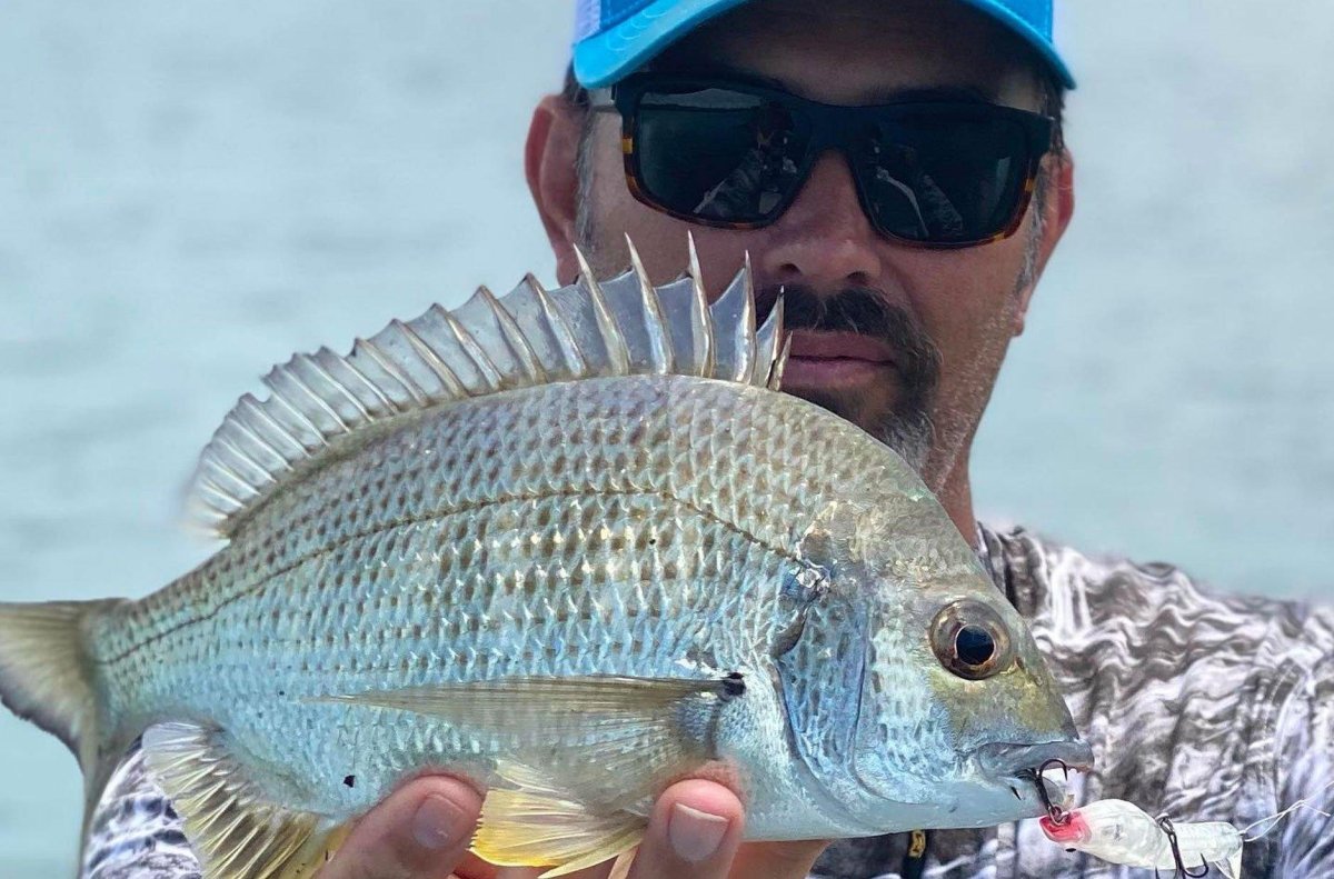 Crank-baiting for bream - Addict Tackle