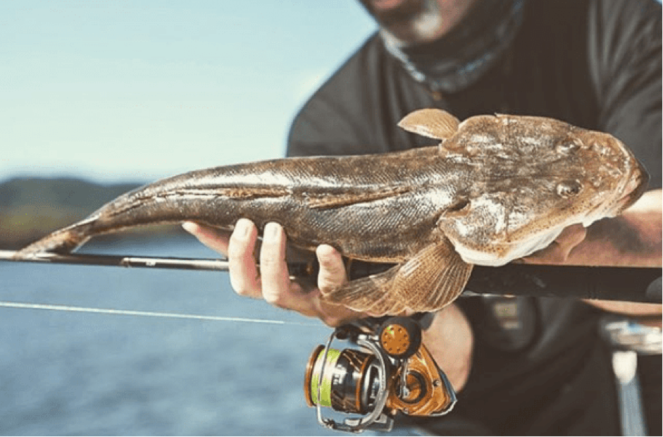 Fishing for Flathead by Addict Tackle