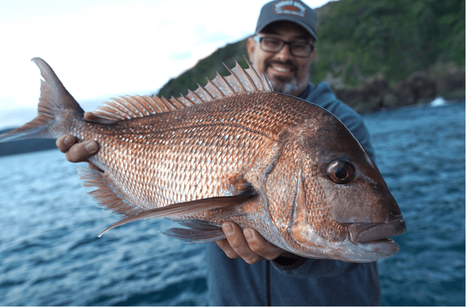 Fishing for Snapper - Addict Tackle