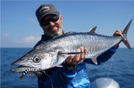 Fishing For Spanish Mackerel - Addict Tackle