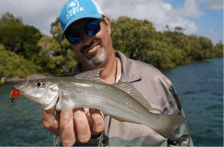 Fishing For Whiting - Addict Tackle