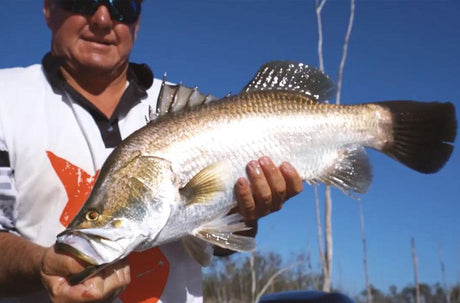 Impoundment Barramundi Basics - Addict Tackle