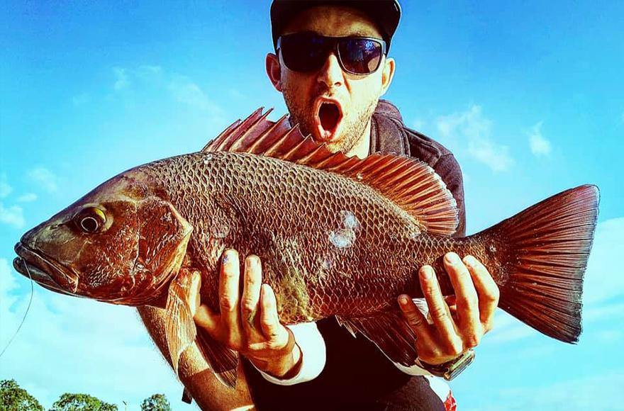 Live baiting for jacks - Addict Tackle