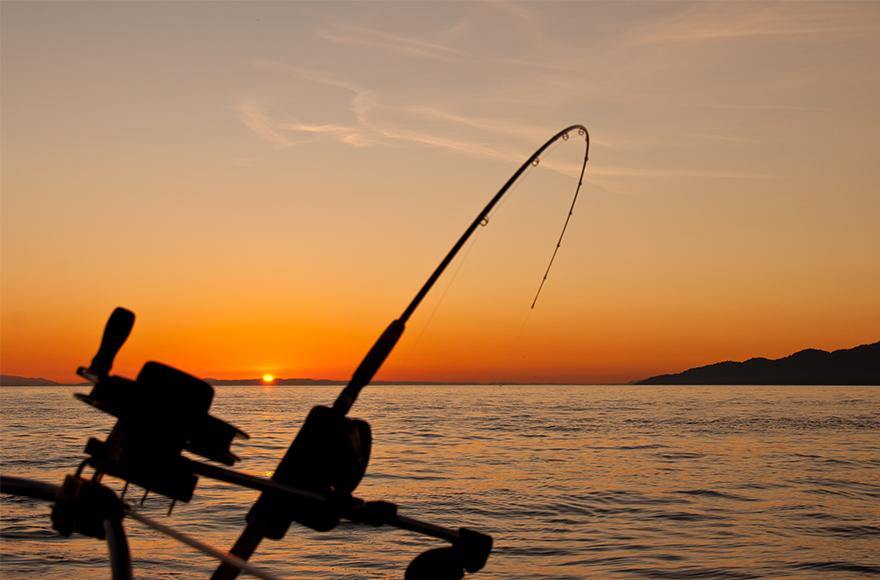 The benefits of downrigging - Addict Tackle