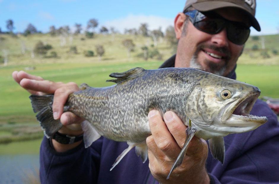 The lowdown on lake trout - Addict Tackle