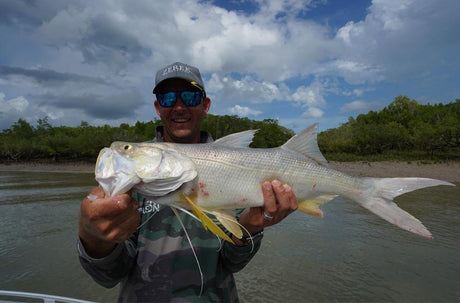 Threadies in the shallows - Addict Tackle