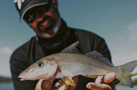Topwater whiting - Addict Tackle