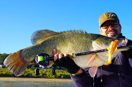 Working the surface for Murray Cod - Addict Tackle